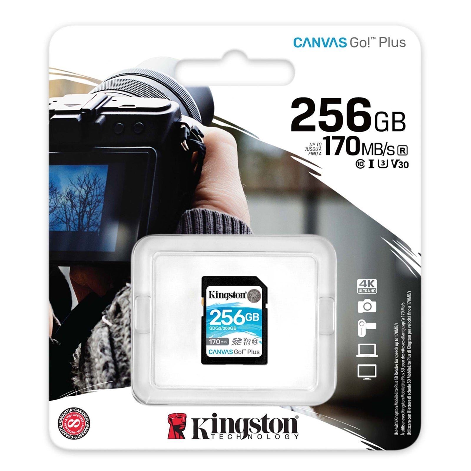 Kingston Canvas Go! Plus SDCG3/256GB 256GB Micro SD Card, UHS-1 (U3)