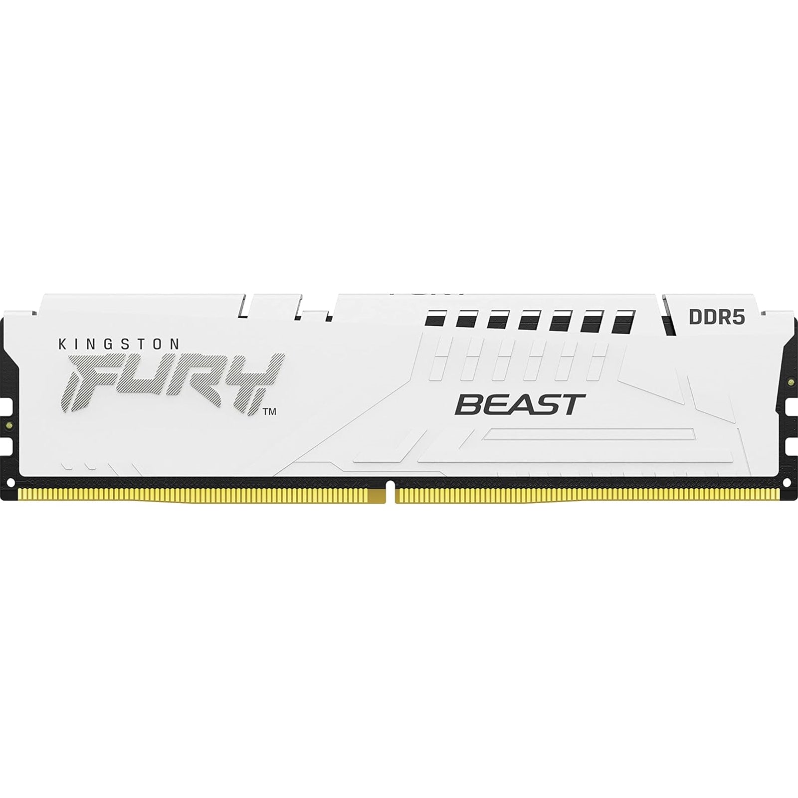 Kingston Fury Beast (KF560C36BWE2K2-32)  32GB (16GB x2) DDR5 6000MHz DIMM RGB System Memory