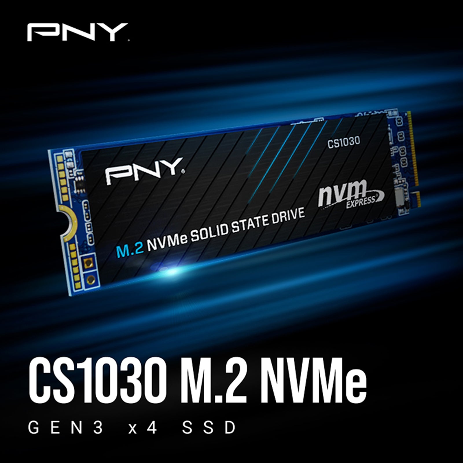 PNY CS1030 (M280CS1030-250-RB) 250GB SSD, PCIe Gen3 x4 Interface,Max Read 2500MB/s, MaxWrite 1100MB/s, 5 Year Limited Warranty