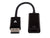 V7 Black Video Adapter DisplayPort Male to HDMI Female Slim