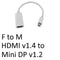 Mini DisplayPort (M) to HDMI (F) White OEM Converter Adapter