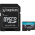 Kingston Canvas Go! Plus SDCG4/256GB 256GB Micro SD Card, UHS-1 (U3)