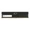 Netac NTBSD5P48SP-08 8GB DIMM System Memory, DDR5, 4800MHz, 1 x 8GB, 288 Pin, 1.1v, CL40-40-40-77 Bulk Packed